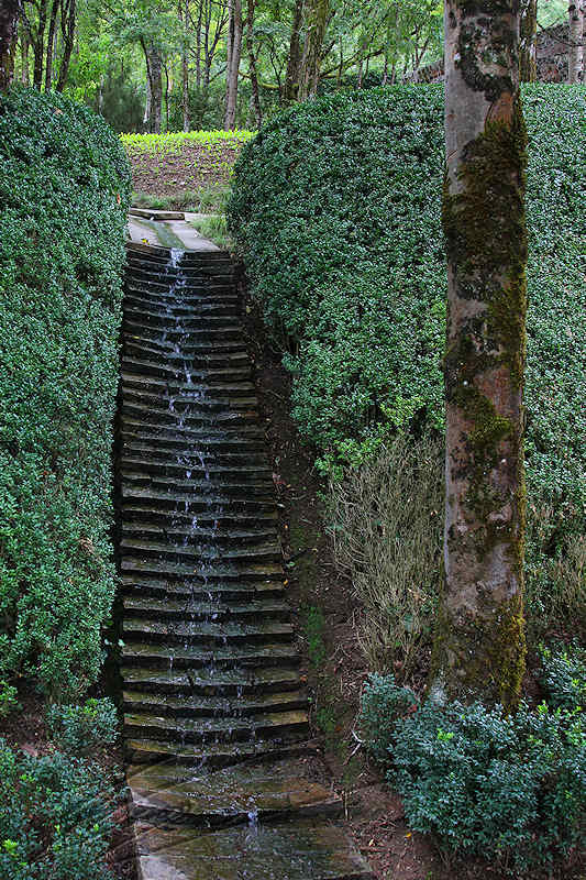 reportage 2014 terrasson france lot dordogne plante périgord corrèze jardins de l'imaginaire imaginarium gardens buis vert green