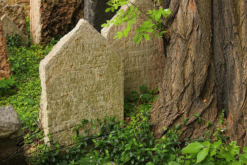 reportage 2014 république tchèque tchéquie czech prague praha cz ville vieux cimetière juif Old Jewish Cemetery tombes tomb raider Starý židovský hřbitov