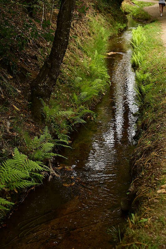reportage 2015 france corrèze aubazine canal des moines monk brive malemort corrèze ancien eau water nature calme slow tranquille lent
