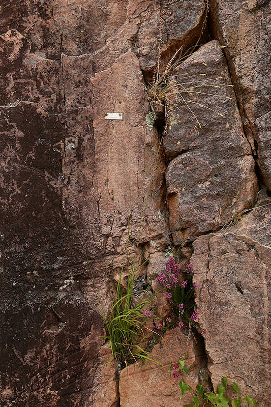reportage 2015 france corrèze aubazine canal des moines monk brive malemort corrèze ancien eau water nature rocher rock pierre stone falaise bruyère