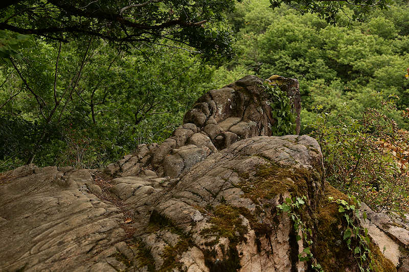 reportage 2015 france corrèze aubazine canal des moines monk brive malemort corrèze ancien eau water nature rocher rock pierre stone falaise