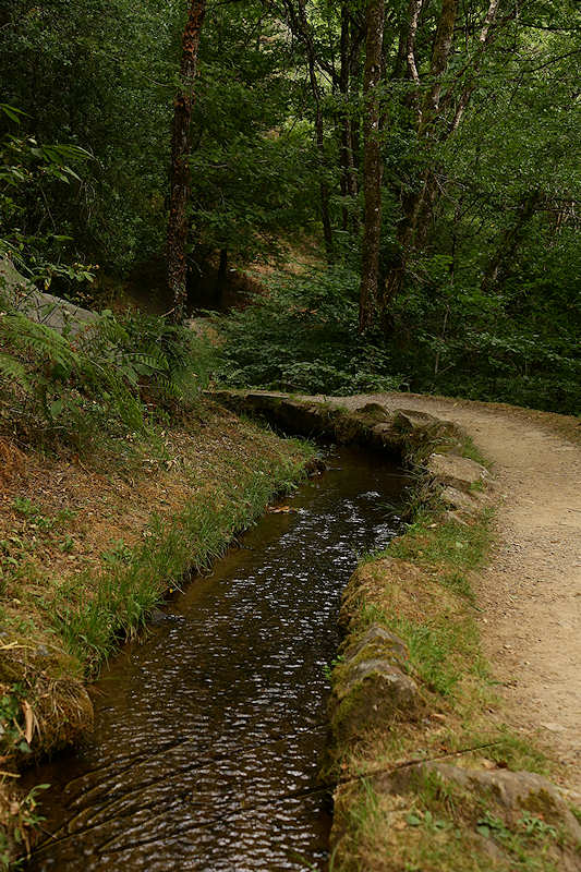 reportage 2015 france corrèze aubazine canal des moines monk brive malemort corrèze ancien eau water nature