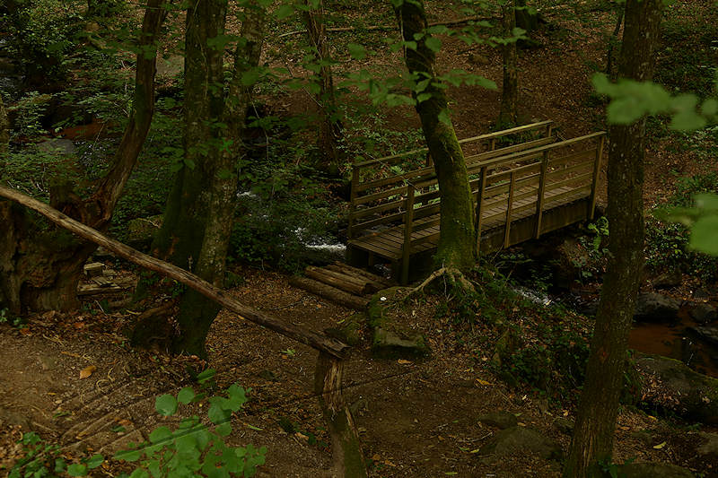reportage 2015 france corrèze aubazine canal des moines monk brive malemort corrèze ancien eau water nature pont bridge bois wood