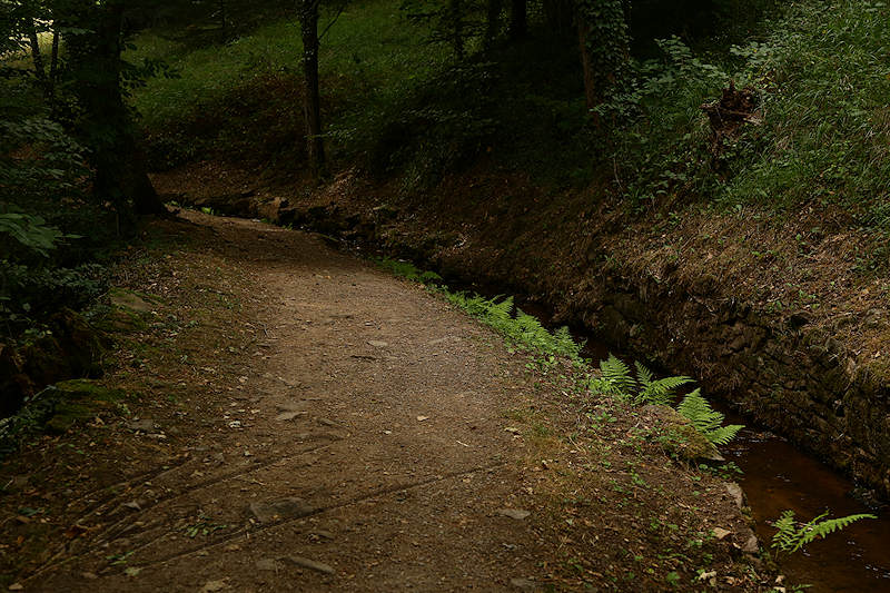 reportage 2015 france corrèze aubazine canal des moines monk brive malemort corrèze ancien eau water nature chemin walk