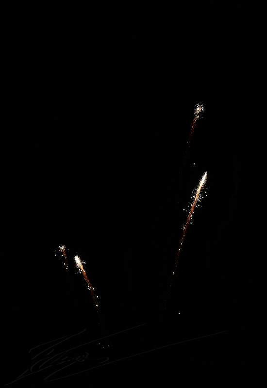 reportage 2015 france corrèze malemort sur corrèze brive la gaillarde feux d'artifices fire work firework fête nationale fest festival défilé walkthrough walk 14 juillet july the 14th 1789 fleurs flowers