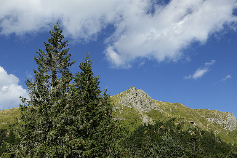 reportage 2015 france massif mont dore puy sancy volcan eau bouteille nature montagne auvergne mountain paysage landscape centre verdure green