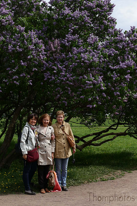 reportage photo 2018 russie saint petersbourg petrograd parc park champs de mars lila lilacs portraits