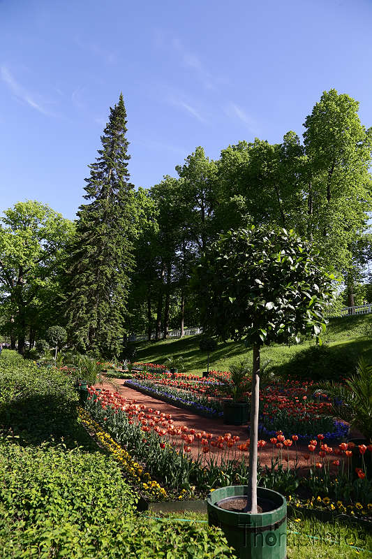 reportage photo 2018 russie saint petersbourg petrograd architecture peterhof pierre le grand palais palace parc jardin garden