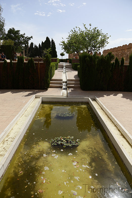 reportage photo été 2019 espagne españa berja sam almería ville city château castel alcazaba citadelle jardines jardin garden eau aqua water