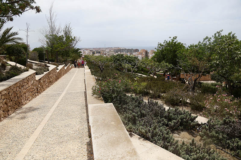 reportage photo été 2019 espagne españa berja sam almería ville city château castel alcazaba citadelle jardines jardins garden amandier almond