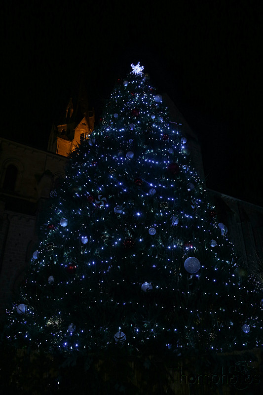 reportage photo hiver noël christmas xmas france brive winter décorations illuminations collégiale saint-martin sapin géant giant tree pine